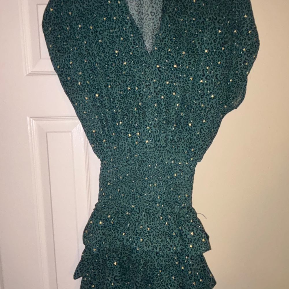 Vestique Teal Leopard Print Long Sleeve Dress